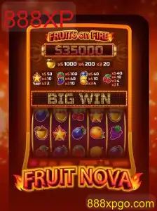 Descubra o Mundo de Diversão com FruitNova: O Que Você Precisa Saber